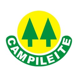 Campileite