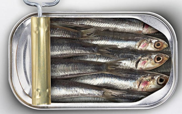 Sardinha em Lata